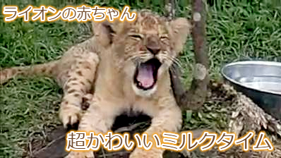 YouTubeにはじめて動画をアップしてみた話。