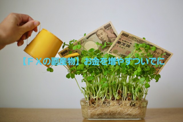 【FXの副産物】お金を増やすついでに。～高級和牛で特製牛丼作り～　※動画あり。